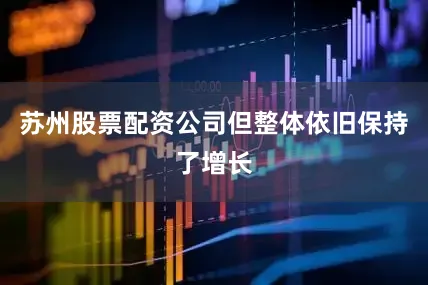 苏州股票配资公司但整体依旧保持了增长