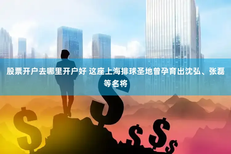股票开户去哪里开户好 这座上海排球圣地曾孕育出沈弘、张磊等名将